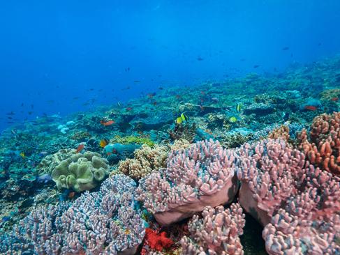 Bali - Nusa Lembongan A Découvrir en Indonésie - Nusa Lembongan