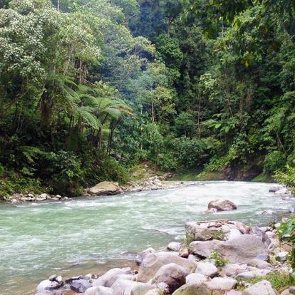 A Découvrir en Indonésie - Le Parc national du Gunung Leuser