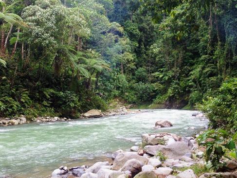 A Découvrir en Indonésie - Le Parc national du Gunung Leuser