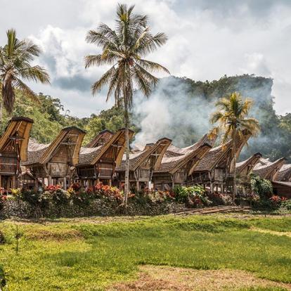 A Découvrir en Indonésie - Le Pays Toraja à Sulawesi
