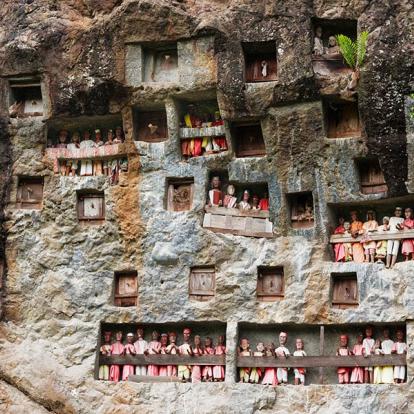 A Découvrir en Indonésie - Le Pays Toraja à Sulawesi