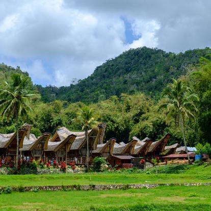 A Découvrir en Indonésie - Le Pays Toraja à Sulawesi