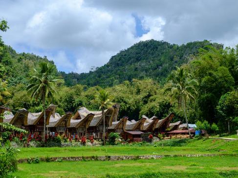 A Découvrir en Indonésie - Le Pays Toraja à Sulawesi