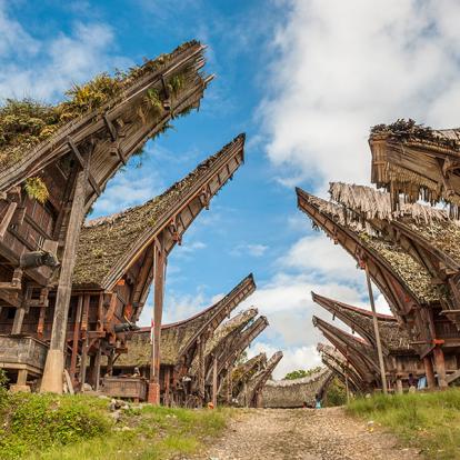 A Découvrir en Indonésie - Le Pays Toraja à Sulawesi