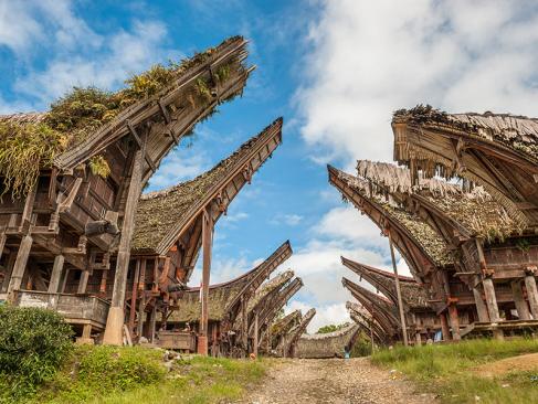 A Découvrir en Indonésie - Le Pays Toraja à Sulawesi