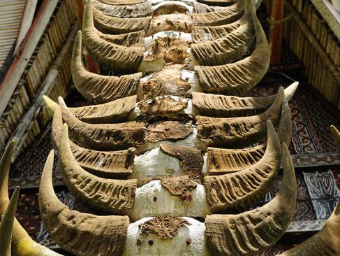 A Découvrir en Indonésie - Le Pays Toraja à Sulawesi