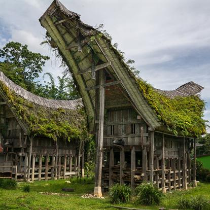 A Découvrir en Indonésie - Le Pays Toraja à Sulawesi