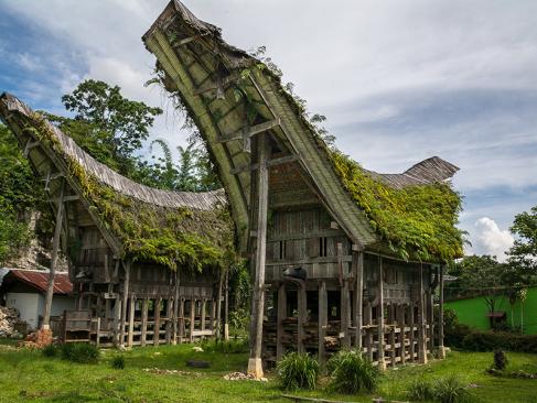 A Découvrir en Indonésie - Le Pays Toraja à Sulawesi