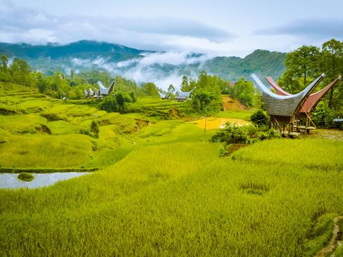 A Découvrir en Indonésie - Le Pays Toraja à Sulawesi