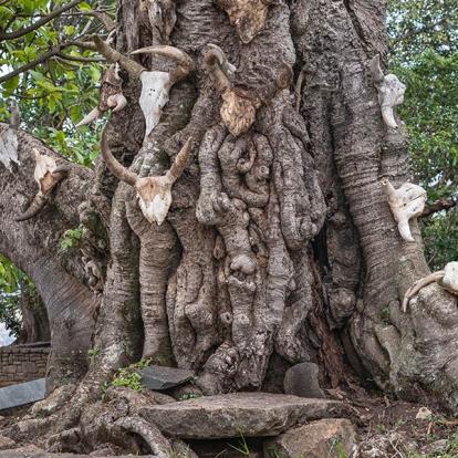 Le palais royal d'Ambohimanga, Ambohimanga Rova A Découvrir à Madagascar - Ambohimanga