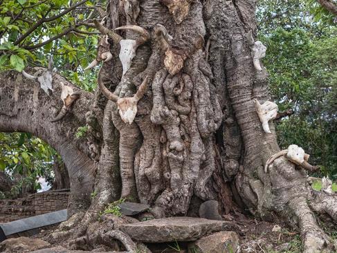 A Découvrir à Madagascar - Ambohimanga