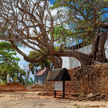 A Découvrir à Madagascar - Ambohimanga