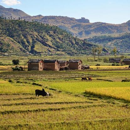 A Découvrir à Madagascar - Ambositra