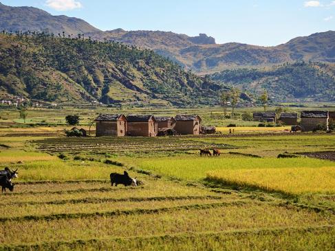 A Découvrir à Madagascar - Ambositra