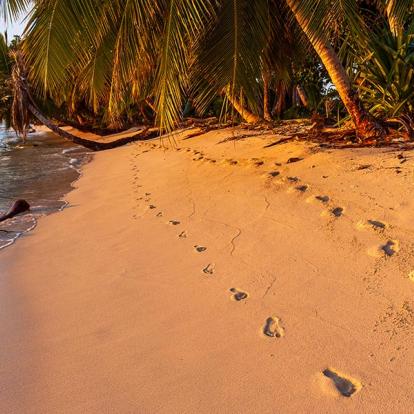 A Découvrir à Madagascar - L'Île aux Nattes