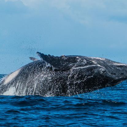 A Découvrir à Madagascar - L'île Sainte Marie
