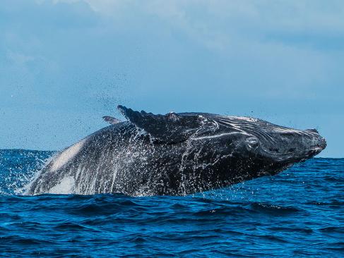 A Découvrir à Madagascar - L'île Sainte Marie