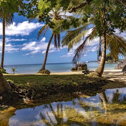 A Découvrir à Madagascar - L'île Sainte Marie
