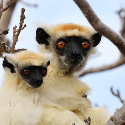 A Découvrir à Madagascar - La côte de la Vanille
