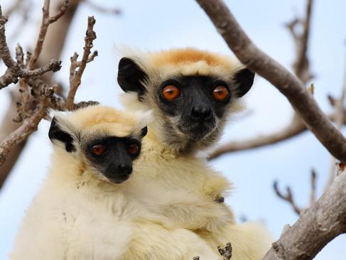 A Découvrir à Madagascar - La côte de la Vanille