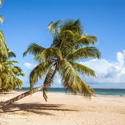 Sambava Beach A Découvrir à Madagascar - La côte de la Vanille