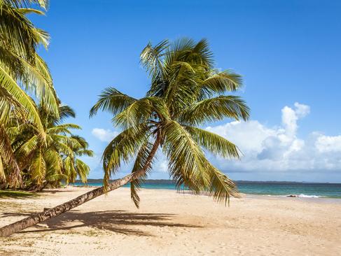 A Découvrir à Madagascar - La côte de la Vanille