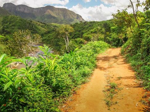 A Découvrir à Madagascar - La côte de la Vanille