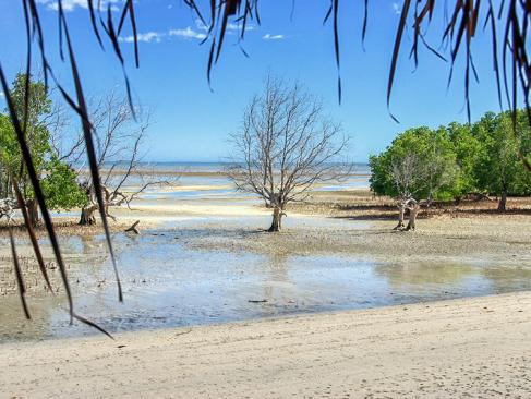 A Découvrir à Madagascar - Majunga (ou Mahajanga)