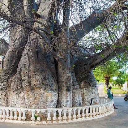 A Découvrir à Madagascar - Majunga (ou Mahajanga)