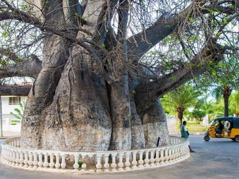 A Découvrir à Madagascar - Majunga (ou Mahajanga)