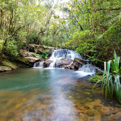 Parc National Andasibe-Mantadia A Découvrir à Madagascar - Le Parc national Andasibe-Mantadia
