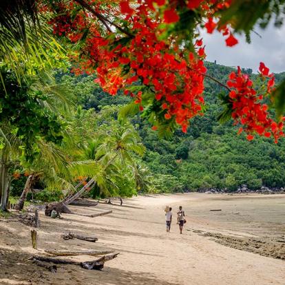 A Découvrir à Madagascar - Nosy Be