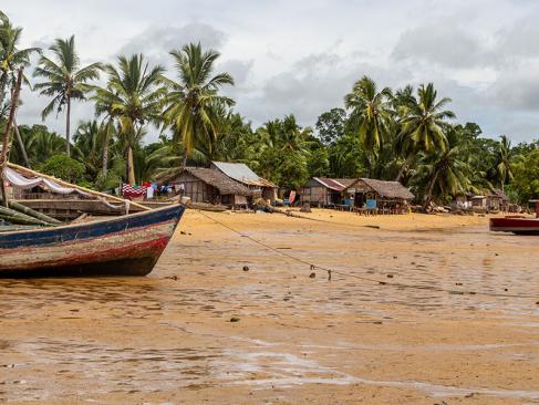 Réserve Naturelle Intégrale De Lokobe à Nosy Be A Découvrir à Madagascar - Nosy Be