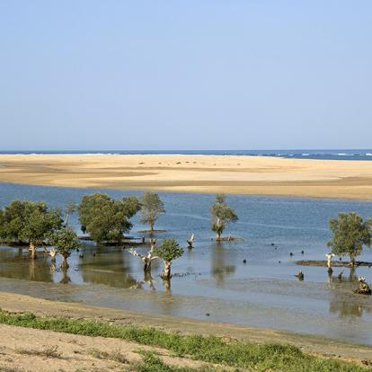 A Découvrir à Madagascar - Tuléar (ou Toliara)