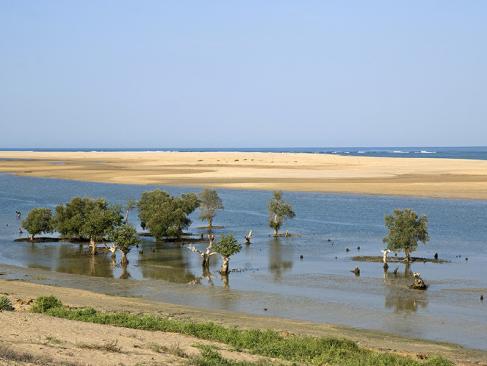 A Découvrir à Madagascar - Tuléar (ou Toliara)