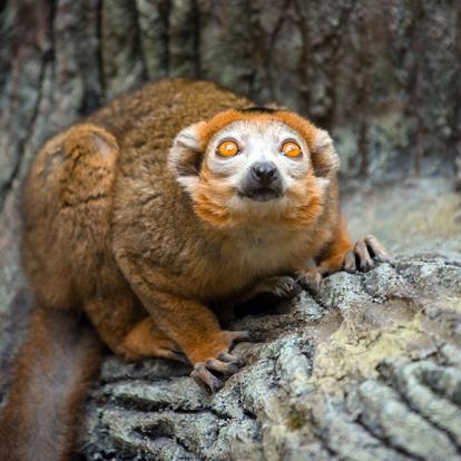 A Découvrir à Madagascar - Tamatave (ou Toamasina)