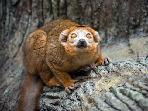 A Découvrir à Madagascar - Tamatave (ou Toamasina)