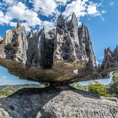 Tsingy de Bemaraha A Découvrir à Madagascar - Les Tsingy de Bemaraha