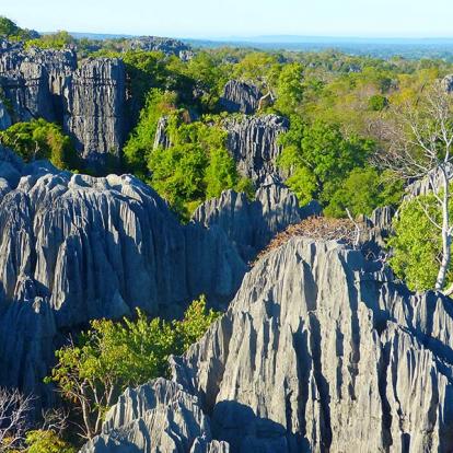 Tsingy De Bemaraha A Découvrir à Madagascar - Les Tsingy de Bemaraha