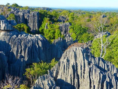 Tsingy De Bemaraha A Découvrir à Madagascar - Les Tsingy de Bemaraha
