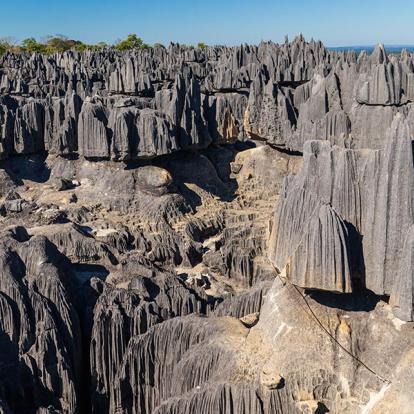 Tsingy De Bemaraha A Découvrir à Madagascar - Les Tsingy de Bemaraha