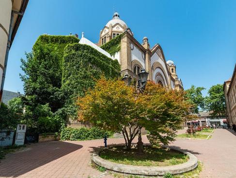 A Découvrir en Serbie - Novi Sad