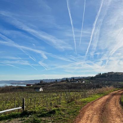 A Découvrir en Serbie - Sremski Karlovci