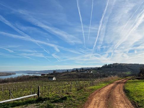 A Découvrir en Serbie - Sremski Karlovci