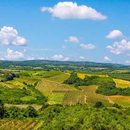 A Découvrir en Serbie - Sremski Karlovci