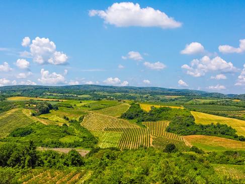 A Découvrir en Serbie - Sremski Karlovci