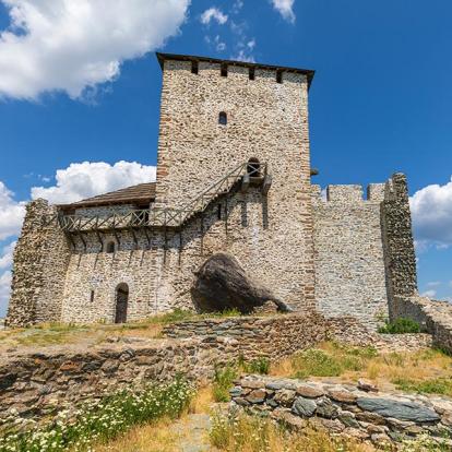 La Tour De Vrsac Est Restée De La Forteresse Médiévale Près De Vrsac A Découvrir en Serbie -  Vršac