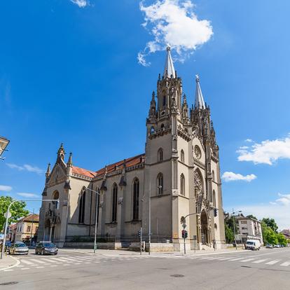 55 / 5 000 Vrsac, Cathédrale Catholique Romaine Dédiée à St Gerhard A Découvrir en Serbie -  Vršac
