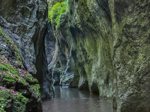 A Découvrir en Serbie - Zlatibor