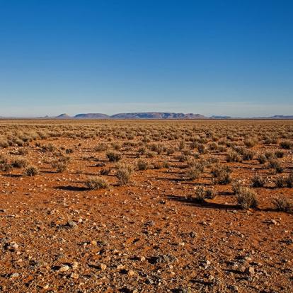 A Découvrir en Namibie - Le Bushmanland